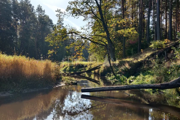 Фото маршрута