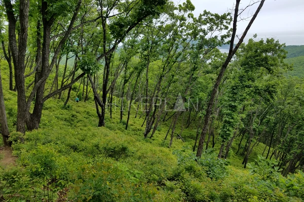 Фото маршрута