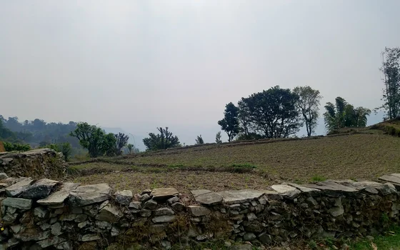 Покхара- Сарангкот-пагода Мира