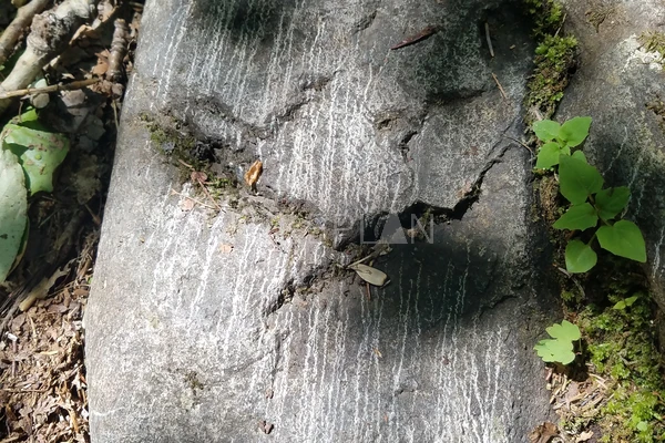 Фото маршрута