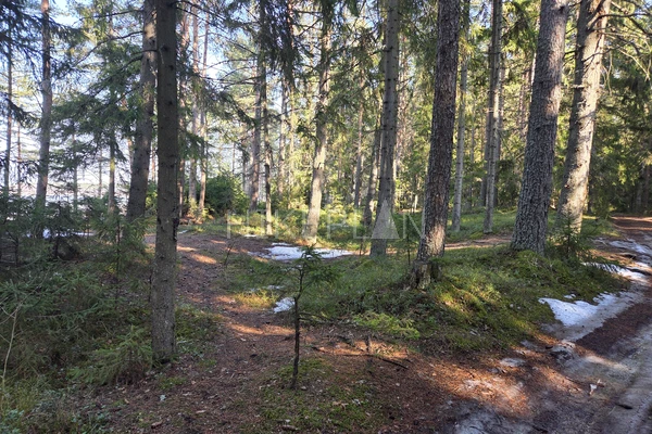 Фото маршрута