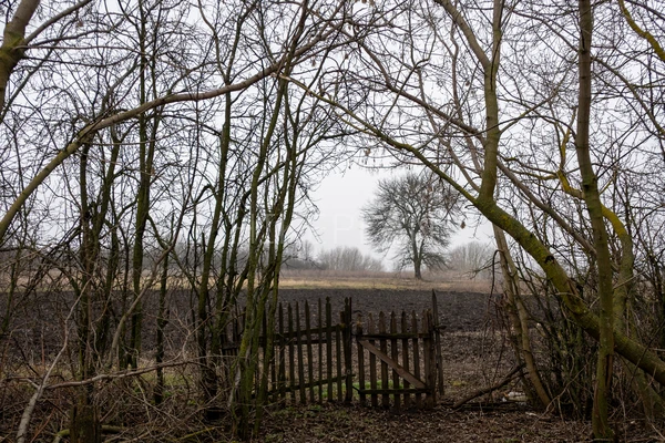 Фото маршрута