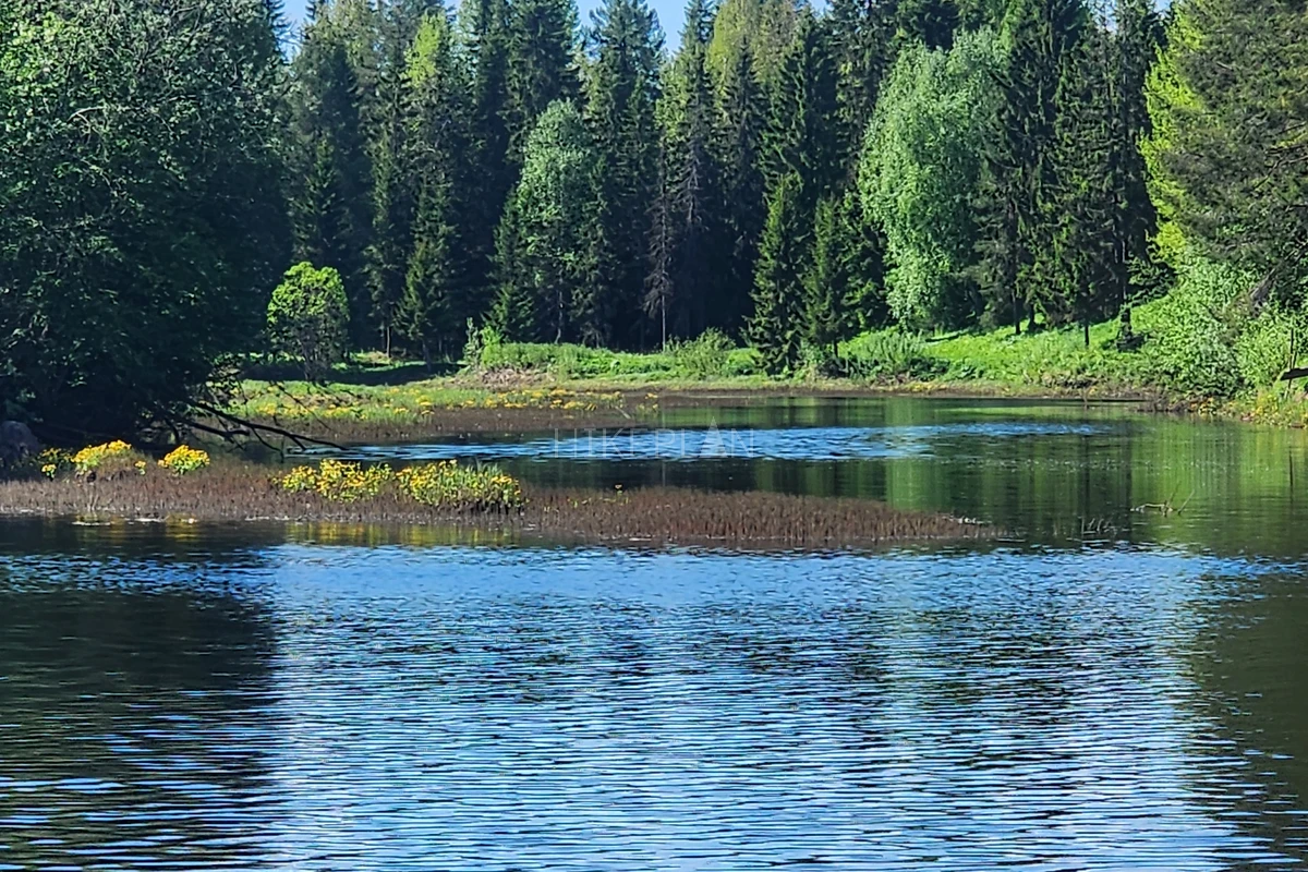 Фото маршрута