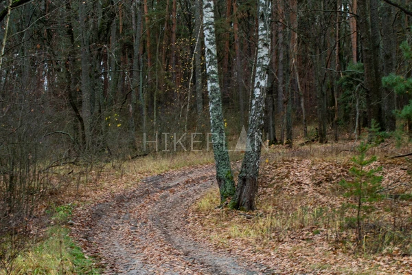 Фото маршрута