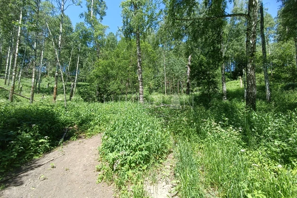 Фото маршрута