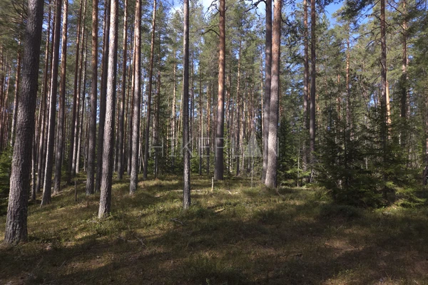 Фото маршрута