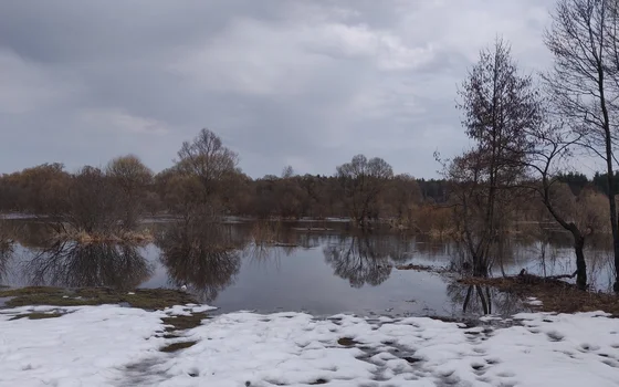 Сплав р. Нерская ( Хотеичи - Цурюпа)