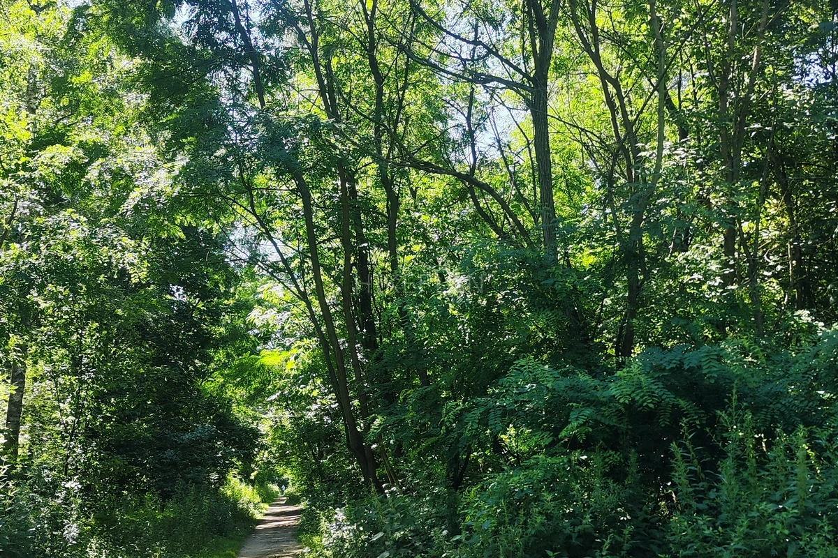 Фото маршрута