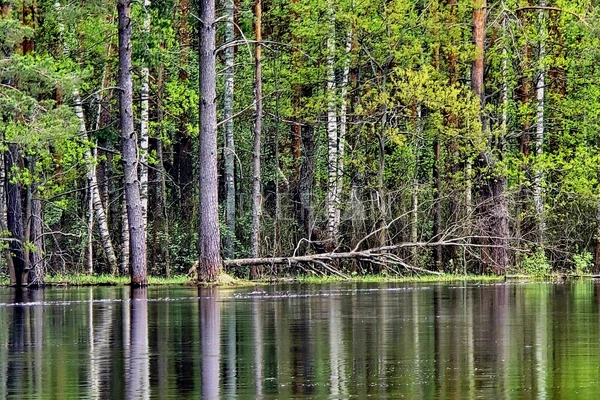 Фото маршрута