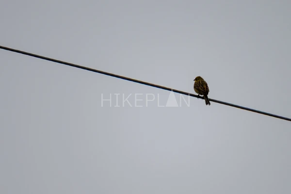 Фото маршрута