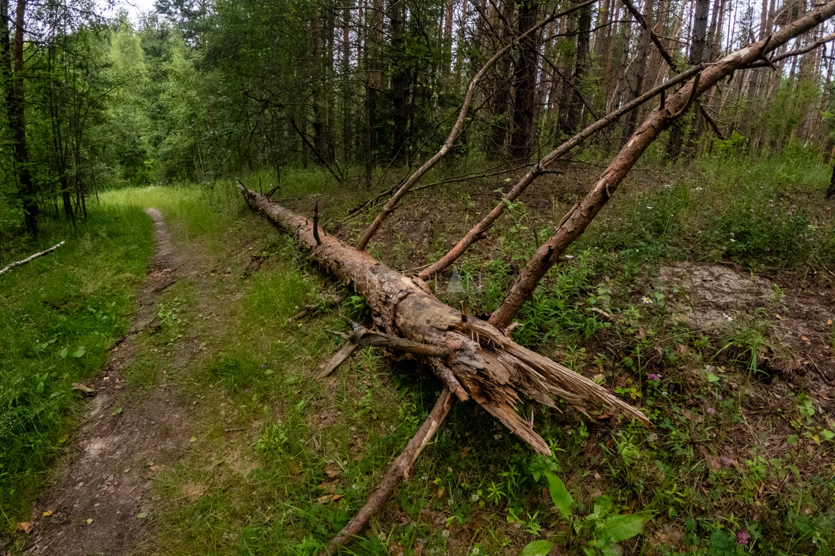 Фото маршрута