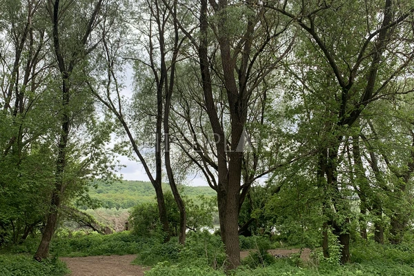 Фото маршрута
