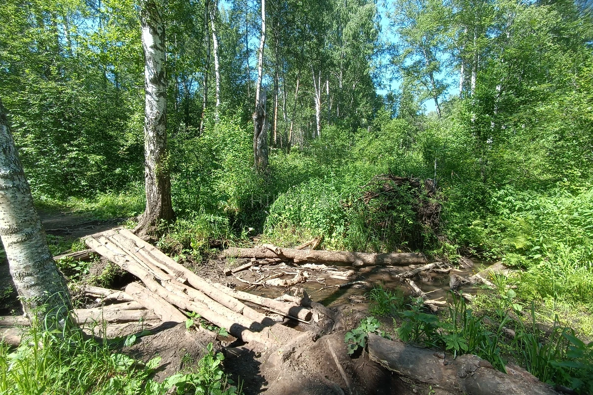 Фото маршрута