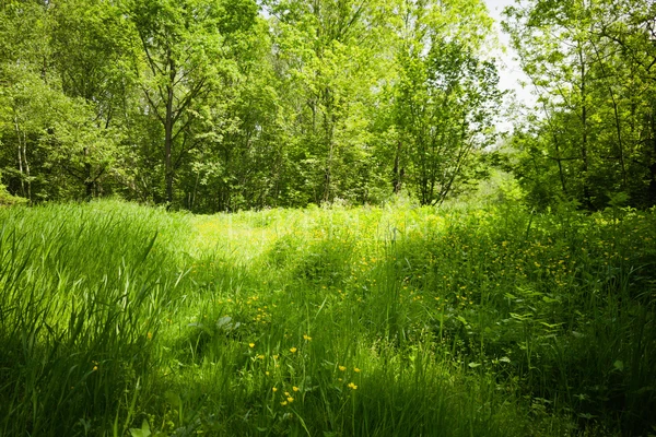 Фото маршрута