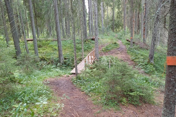 Фото маршрута