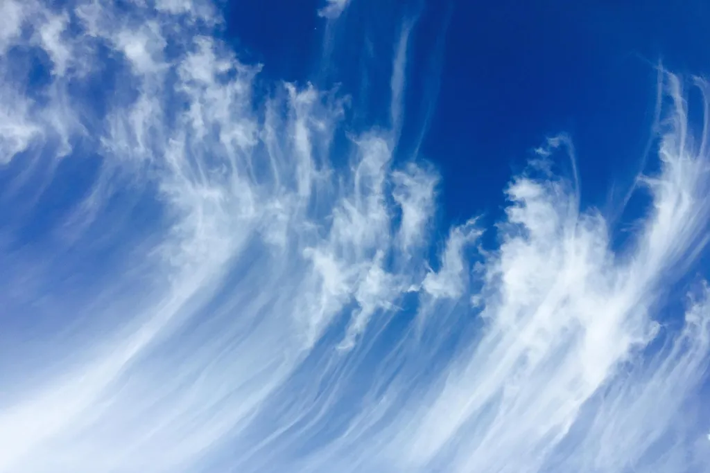Cirrus uncinus