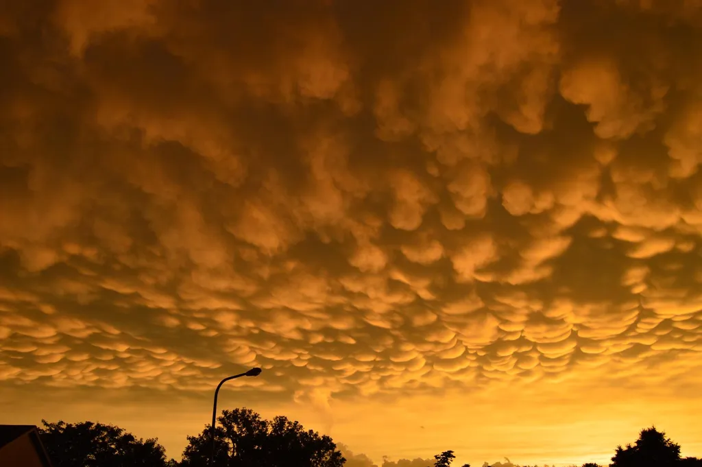 Mammatus