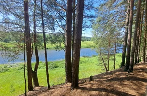 IMG_20250714_145108_173.jpg