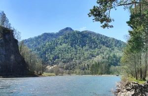 IMG20260504134726.jpg