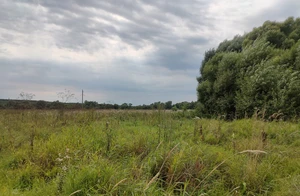 IMG20260818142720.jpg