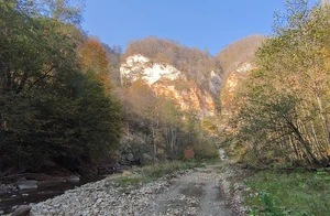 IMG_20261018_150351.jpg
