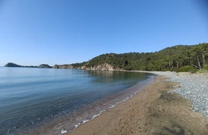 IMG_20260525_082504.jpg