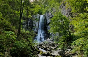 20190611_162301.jpg