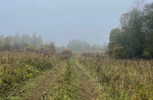 IMG_5346.jpeg
