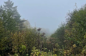 IMG_5345.jpeg