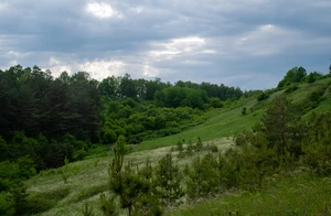 IMGP9819.jpg