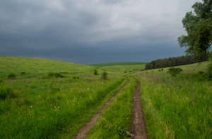 IMGP9855.jpg