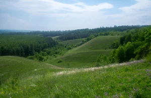 IMGP9780.jpg