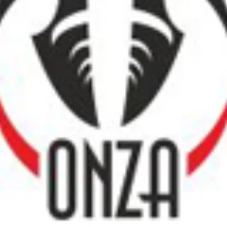 Организатор — Onza