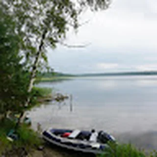 Организатор — Фёдор Дворкин