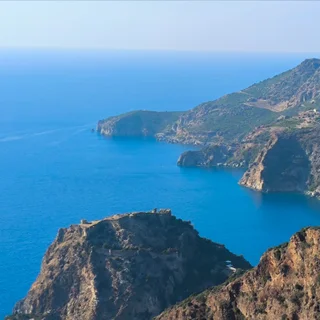 Организатор — Дмитрий