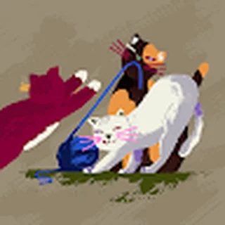Организатор — Котэ