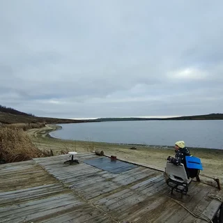 Организатор — Irina