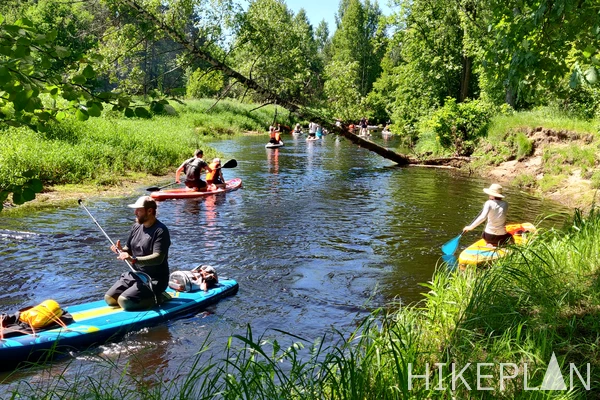 IMG_20260607_103636.jpg