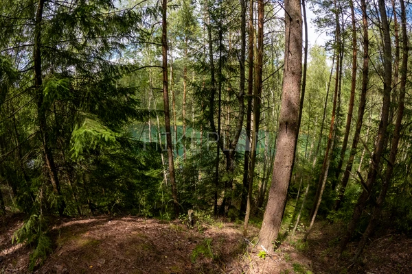 Фото маршрута