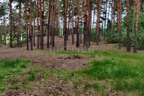 Фото маршрута