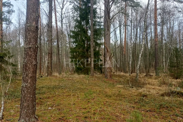 Фото маршрута