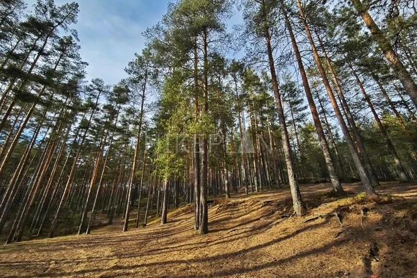 Фото маршрута