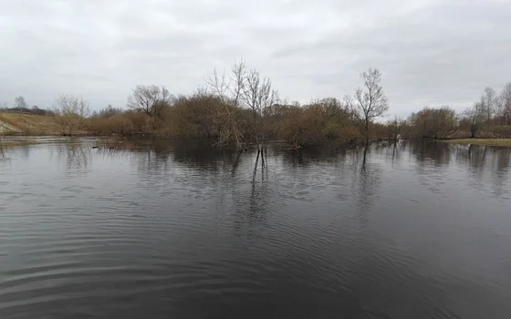 Сущево-Вербилки