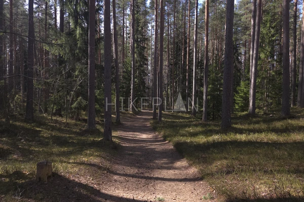 Фото маршрута