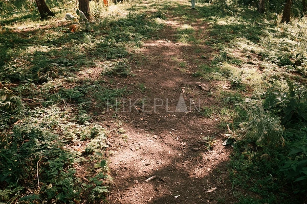 Фото маршрута