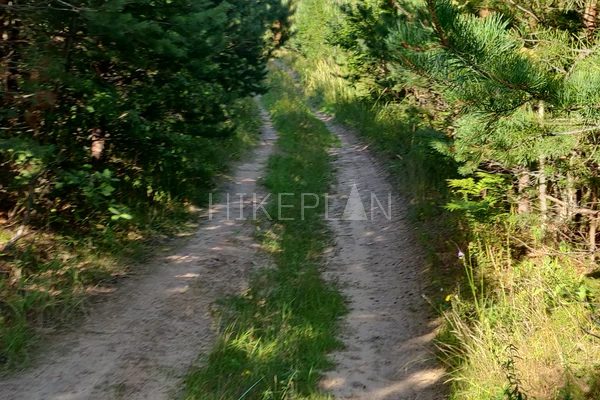 Фото маршрута