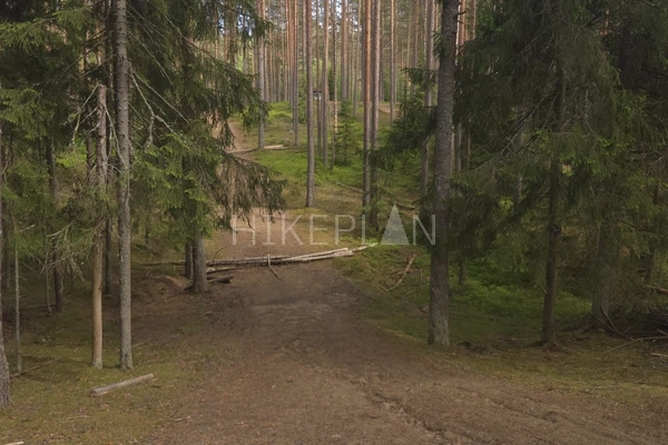Фото маршрута