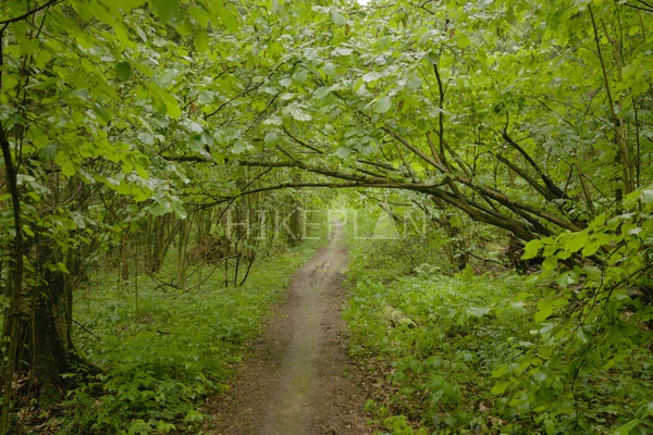 Фото маршрута