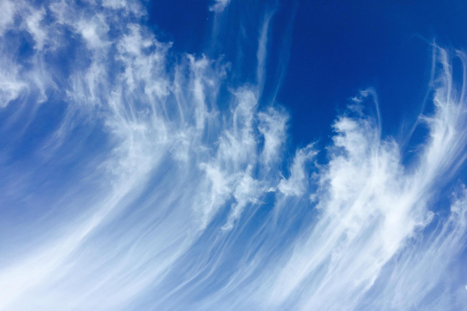 Cirrus uncinus